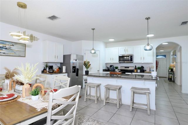 3332 LOGAN BERRY DRIVE, Mount Dora, FL 32757