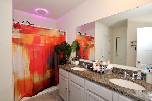 3332 LOGAN BERRY DRIVE, Mount Dora, FL 32757