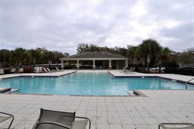 3332 LOGAN BERRY DRIVE, Mount Dora, FL 32757