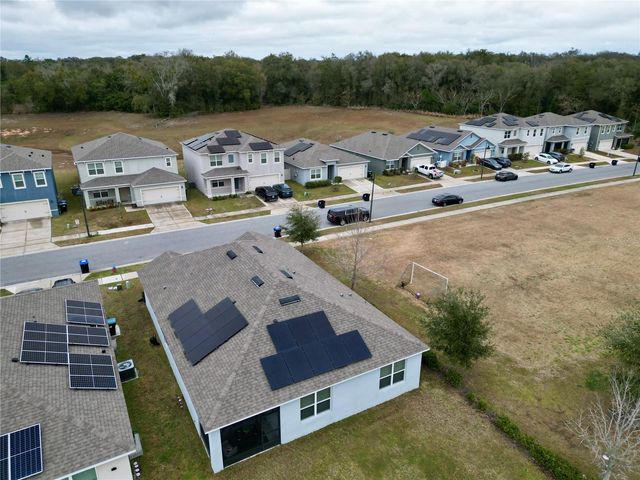 3332 LOGAN BERRY DRIVE, Mount Dora, FL 32757