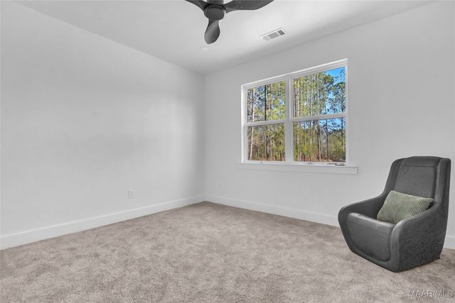 1020 Chesson Hill Drive, Fitzpatrick, AL 36029