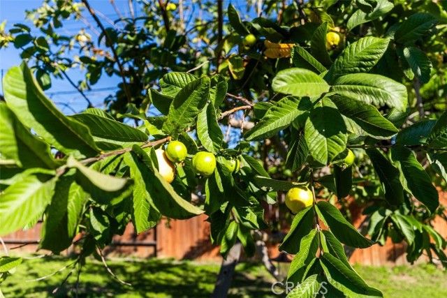 314 S Velva, Anaheim, CA 92804