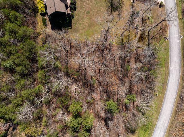 15732 Channel Point Drive, Sale Creek, TN 37373