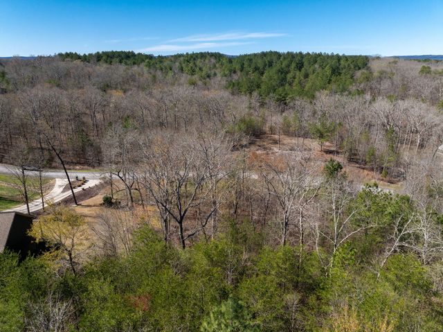 15732 Channel Point Drive, Sale Creek, TN 37373