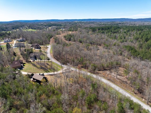15732 Channel Point Drive, Sale Creek, TN 37373