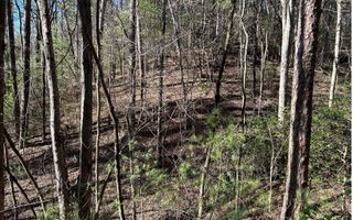 LT 77 Roaring Forks Lane, Ellijay, GA 30540