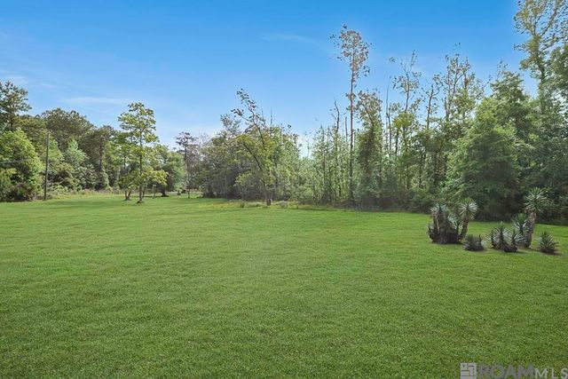 14929 Bear Island Rd, Maurepas, LA 70449