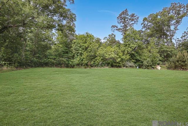 14929 Bear Island Rd, Maurepas, LA 70449
