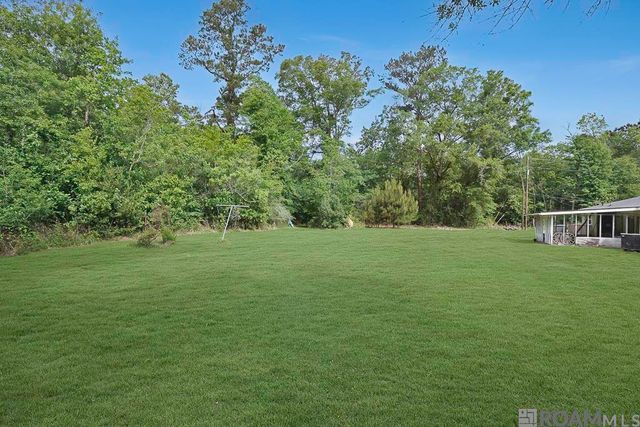 14929 Bear Island Rd, Maurepas, LA 70449
