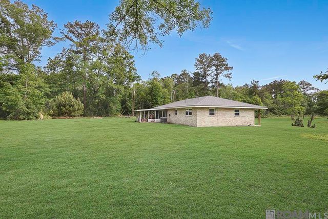 14929 Bear Island Rd, Maurepas, LA 70449