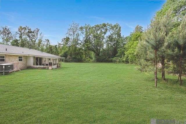 14929 Bear Island Rd, Maurepas, LA 70449