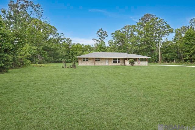 14929 Bear Island Rd, Maurepas, LA 70449