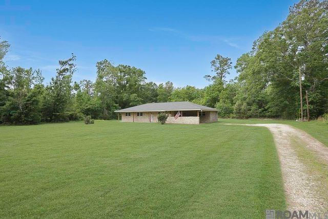 14929 Bear Island Rd, Maurepas, LA 70449