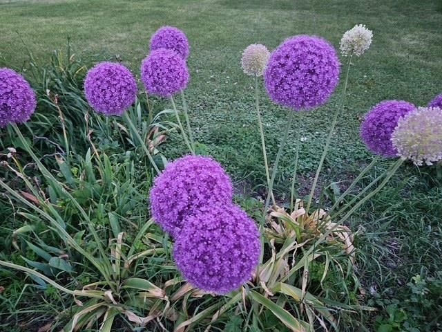 1825 S Highway 104, Brodhead, WI 53520