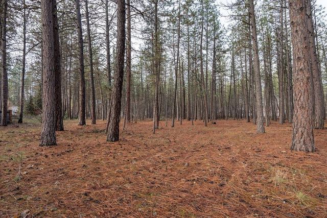 10203 N Nine Mile Rd, Nine Mile Falls, WA 99026