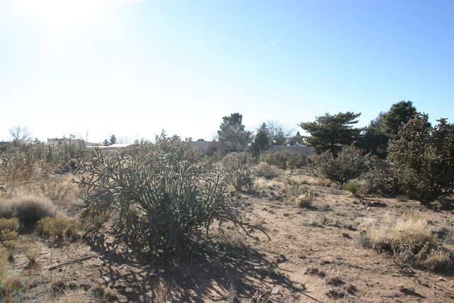 11208 Anaheim Avenue NE, Albuquerque, NM 87122