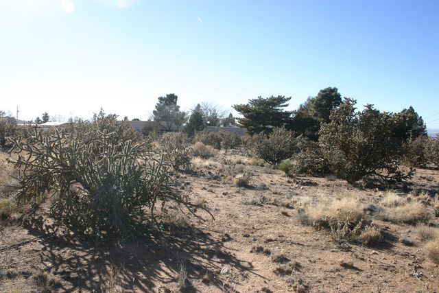 11208 Anaheim Avenue NE, Albuquerque, NM 87122