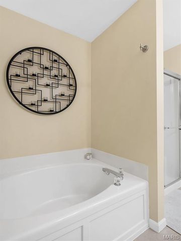 6110 Timberline Place Court, St Louis, MO 63128