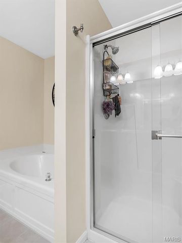 6110 Timberline Place Court, St Louis, MO 63128