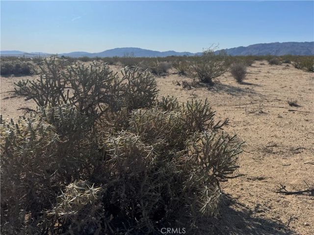 3492 Meldora, 29 Palms, CA 92277