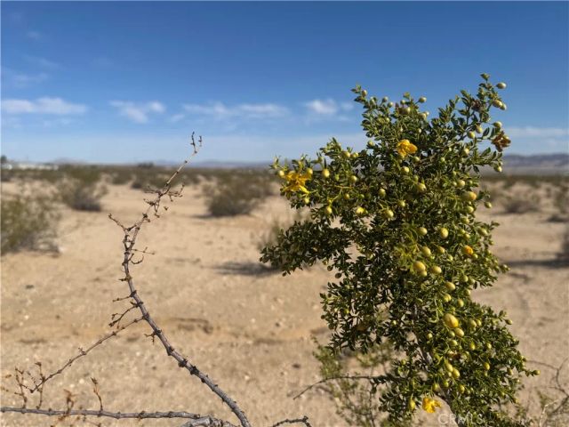 3492 Meldora, 29 Palms, CA 92277