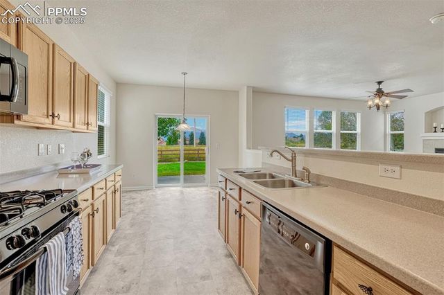 8352 James Creek Drive, Colorado Springs, CO 80924