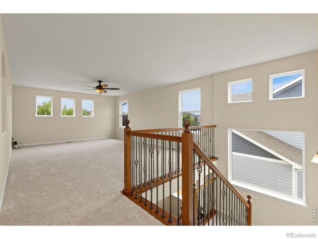 5415 Brookline Drive, Timnath, CO 80547