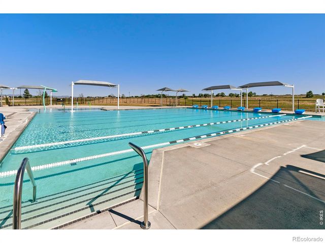5415 Brookline Drive, Timnath, CO 80547