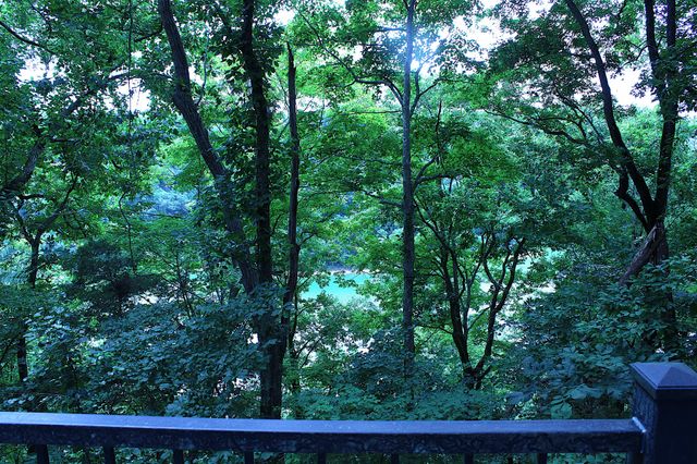 204 Red Bud Dr, Smithville, TN 37166