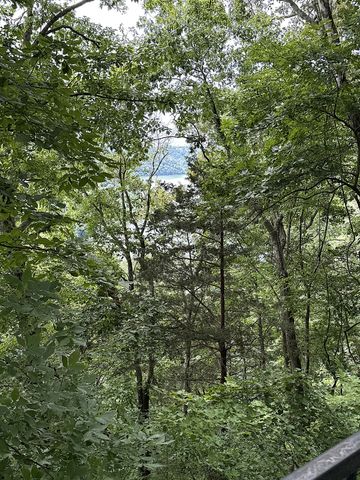 204 Red Bud Dr, Smithville, TN 37166
