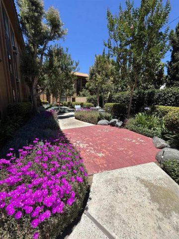 3786 Alabama Street B205, San Diego, CA 92104
