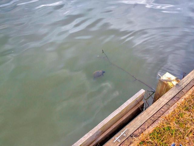 412 Ridge Trail, Trinity, TX 75862