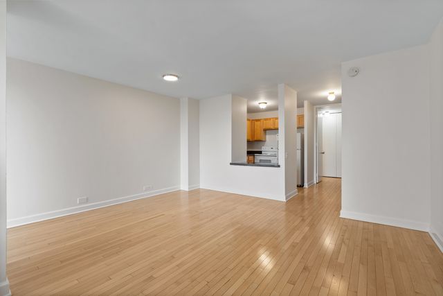 1030 N State Street 5M, Chicago, IL 60610