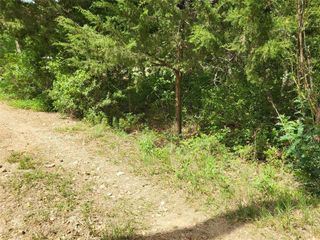 7436 Magnolia Lane, New Ulm, TX 78950