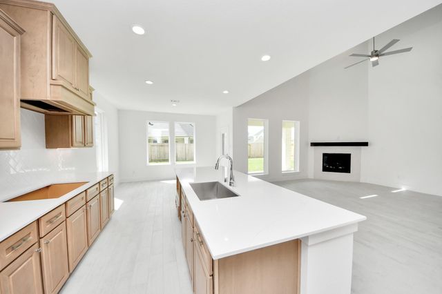 3038 Native Spring Drive, Spring, TX 77373