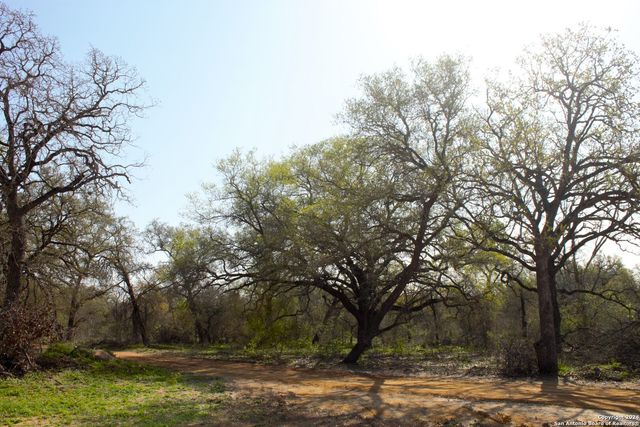 752 PR Sunset Vista Dr Lot 92, Somerset, TX 78069