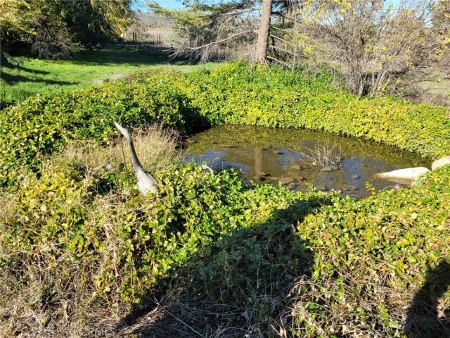 59300 Norman Hills Road, Anza, CA 92539