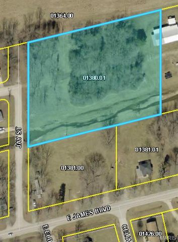 600 Christine Avenue, St James, MO 65559