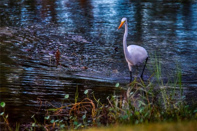 625 MIDWAY DRIVE A, Ocala, FL 34472