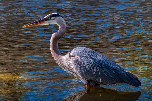 625 MIDWAY DRIVE A, Ocala, FL 34472