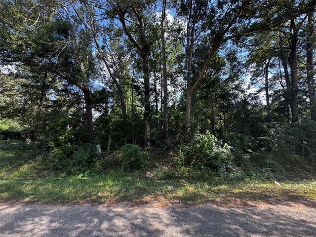 17625 Spanish Oak, Conroe, TX 77306