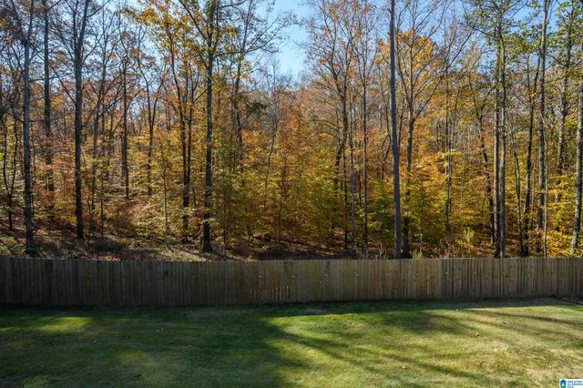 104 BRYNLEIGH DRIVE, Chelsea, AL 35043