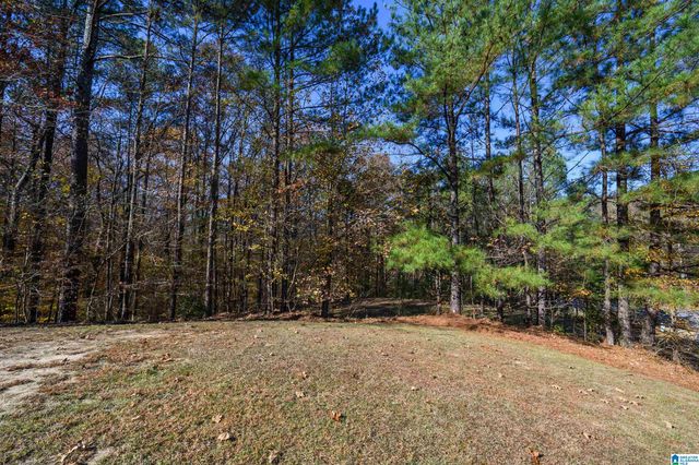 104 BRYNLEIGH DRIVE, Chelsea, AL 35043