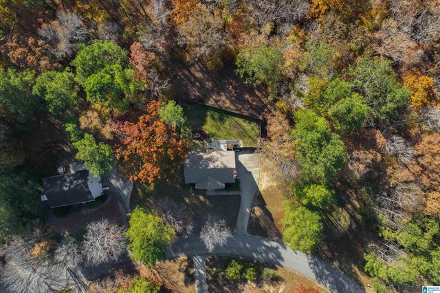 104 BRYNLEIGH DRIVE, Chelsea, AL 35043