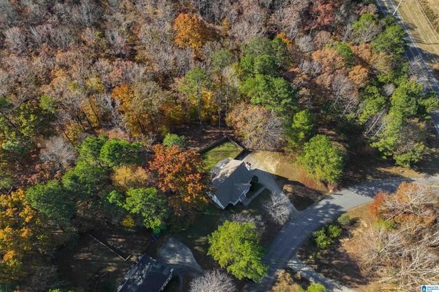 104 BRYNLEIGH DRIVE, Chelsea, AL 35043