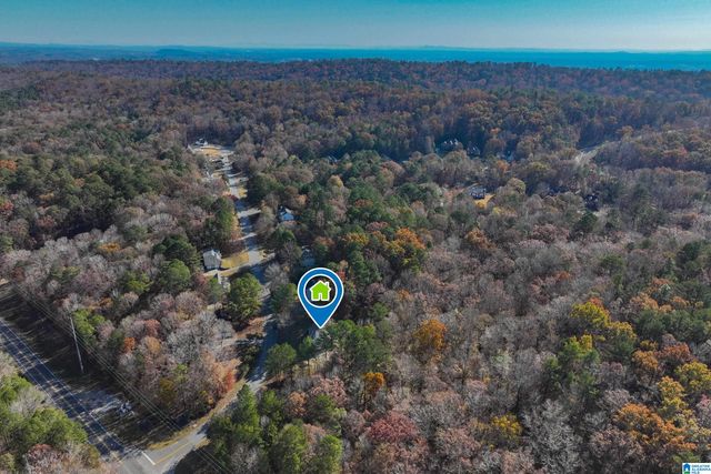 104 BRYNLEIGH DRIVE, Chelsea, AL 35043