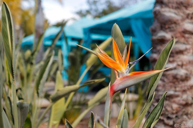 3609 Buck Ridge Avenue, Carlsbad, CA 92010