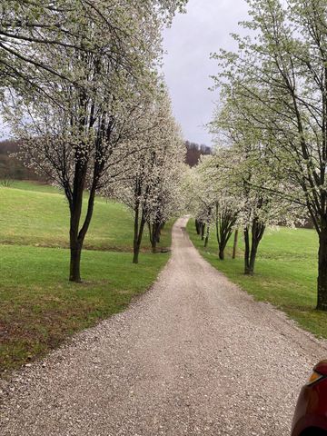 54 Jess Crisswell Road, Monticello, KY 42633