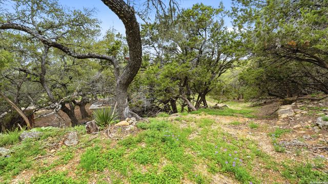 12521 REBECCA CREEK RD, Spring Branch, TX 78070