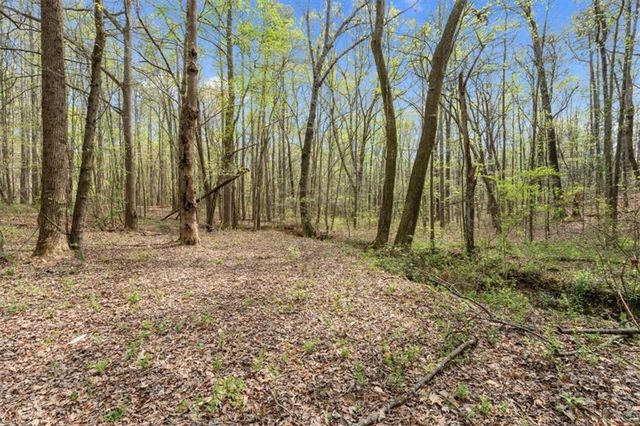 301 Highway 5 East, Roopville, GA 30170